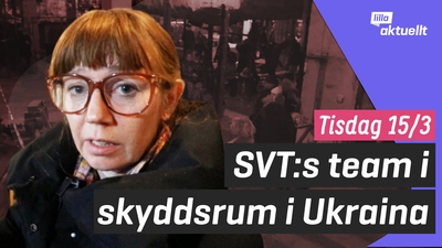 SVT:s team fick sitta i skyddrum i Ukraina