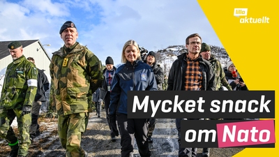 Många snackar om NATO