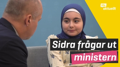 Så vill politikerna stoppa skjutningarna