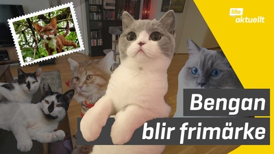 Bengan blir frimärke