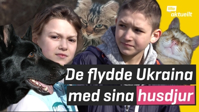 De flydde från Ukraina med sina husdjur