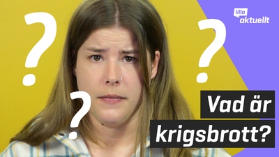 Vad betyder krigsbrott?