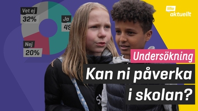 Undersökning: Kan ni påverka i skolan?