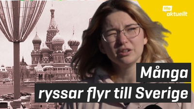 Människor flyr från Ryssland till Sverige
