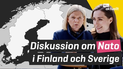 Ska Finland och Sverige gå med i Nato?