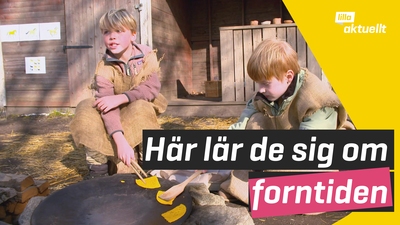 De lär sig om forntiden