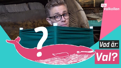 Vad är val?