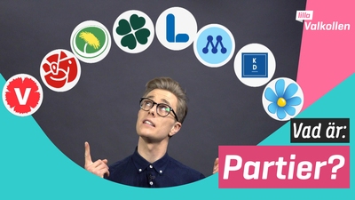 Vad är partier?