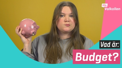 Vad är budget?