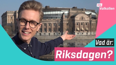 Vad är riksdagen?