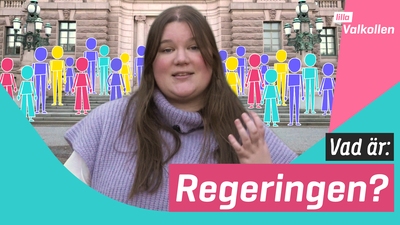 Vad är regeringen?