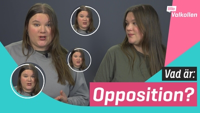 Vad är opposition?
