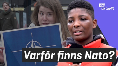 Varför finns Nato?