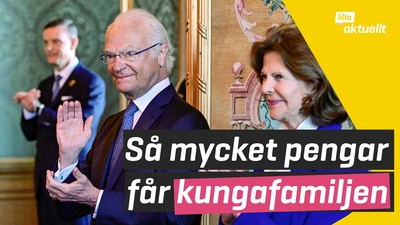 Så mycket pengar får kungafamiljen