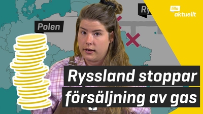 Ryssland stoppar försäljning av gas
