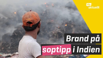 Brand på soptipp i Indien