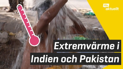 Extremvärme i Indien och Pakistan