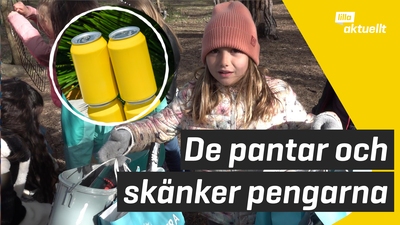 De samlar pant och skänker pengarna