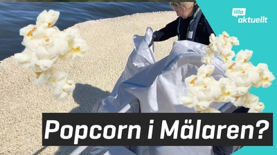 Kustbevakningen häller popcorn i vattnet