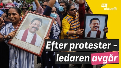 Sri Lankas premiärminister avgår