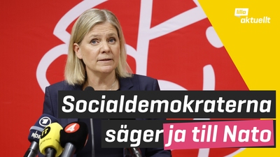 Socialdemokraterna vill att Sverige går med i Nato