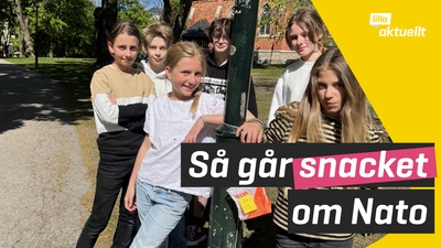 Så tänker ni om Nato