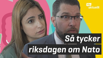 Så tycker riksdagen om Nato