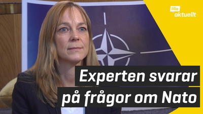 Experten svarar på Natofrågor