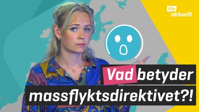 Vad betyder massflyktsdirektivet?!