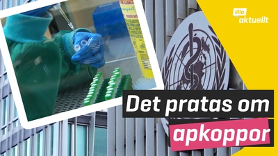 Det pratas om apkoppor
