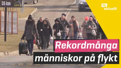 FN: Över 100 miljoner på flykt