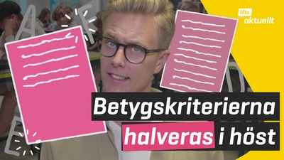 Ny läroplan i höst