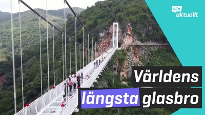 Världens längsta glasbro