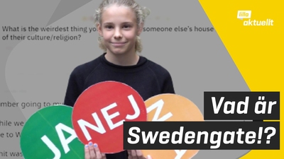 Hashtaggen Swedengate - vad är det?