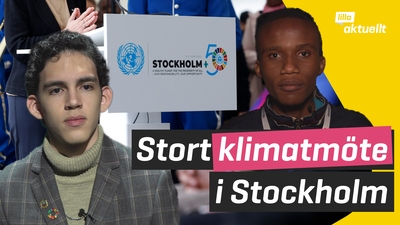 Stort klimatmöte i Stockholm