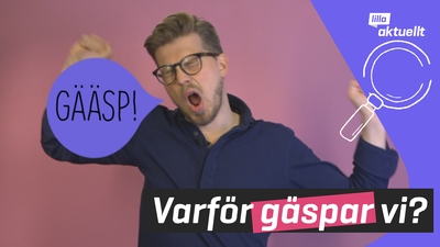 Lilla luskar: Varför gäspar vi?