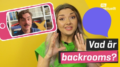 Vad är backrooms?