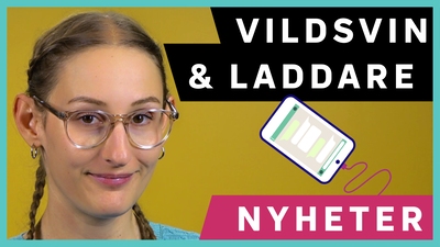 Nu kan du göra veckans nyhetsquiz!