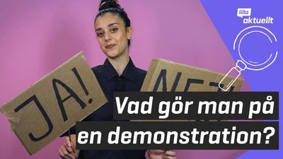 Lilla luskar: Vad gör man på en demonstration?