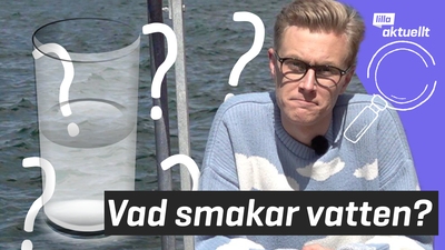 Lilla luskar: Vad smakar vatten?