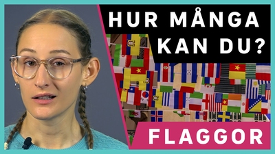 Dags att testa dina flaggkunskaper!