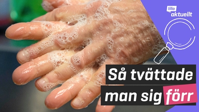 Lilla luskar: Vad tvättade människor sig med innan tvålen?