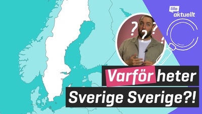 Lilla luskar: Varför heter det Sverige?