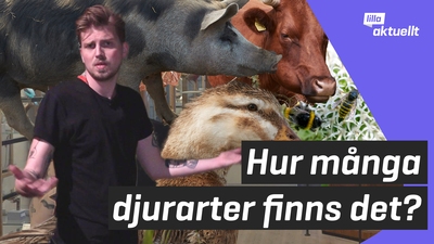 Lilla luskar: Hur många djurarter finns det?