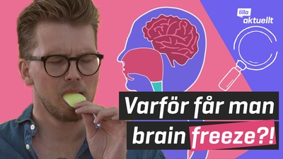 Lilla luskar: Varför får man brainfreeze?