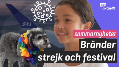 Det här hände under sommaren