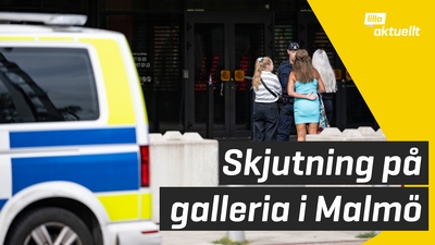 Skjutning på galleria i Malmö