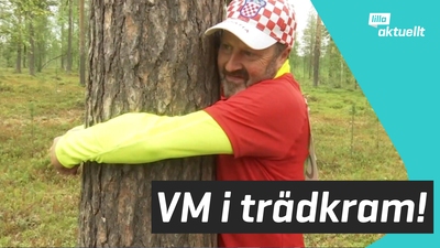 Trädkramnings-VM i Finland