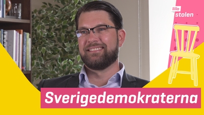 Jimmie Åkesson på Lilla stolen