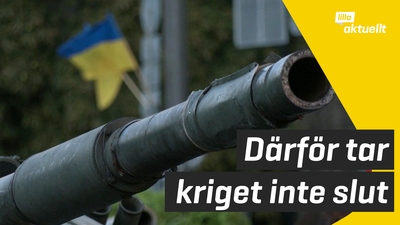 6 månader sedan den ryska invasionen av Ukraina